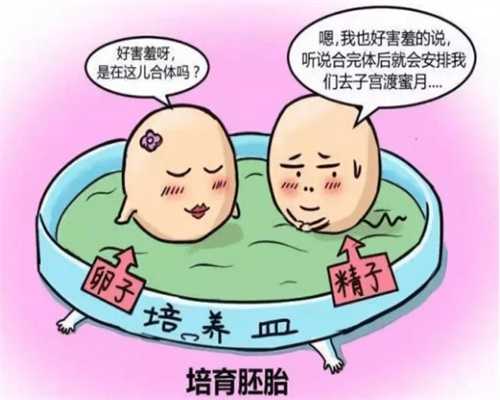 杭州帮同事代怀孕，杭州定点双眼皮多少钱